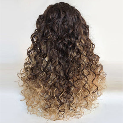 Stock Lace Front Brazilian Brown Ombre with HL Curly Human Hair Wigs